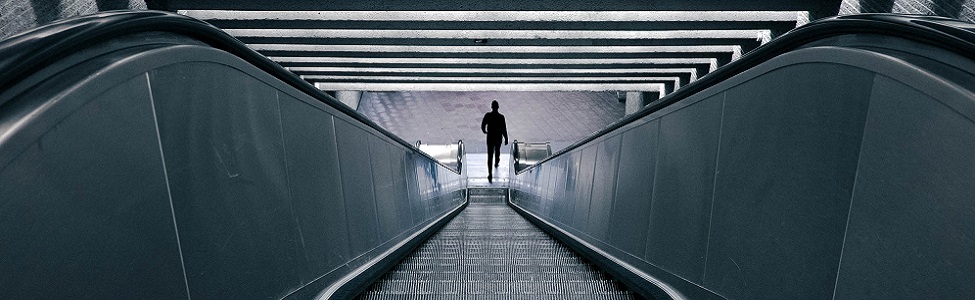 sole practitioner loved the law